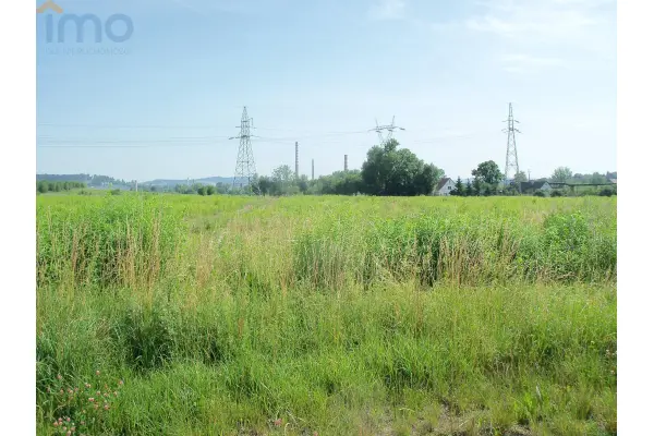 mazowieckie, grójecki, Pniewy, Cychry, Zacznij uprawiać ekologiczne warzywa dla siebie