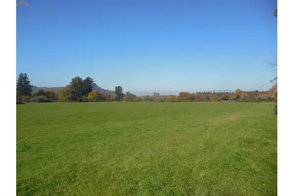 małopolskie, dąbrowski, Olesno, Dąbrówka Gorzycka, Działka rolna pod dzierżawę