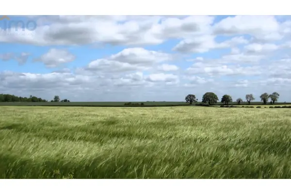 opolskie, krapkowicki, Zdzieszowice, Oleszka, Wynajmę teren pod maszyny budowlane