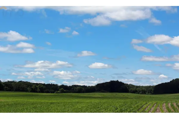lubelskie, Chełm, Antonin, Woda i prąd na działce - atrakcyjna cena